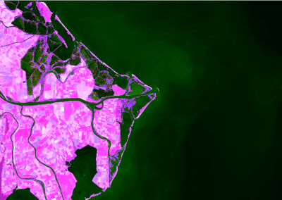 Immagine Sentinel-2 del delta del Po nel vicino infrarosso (NIR – green)