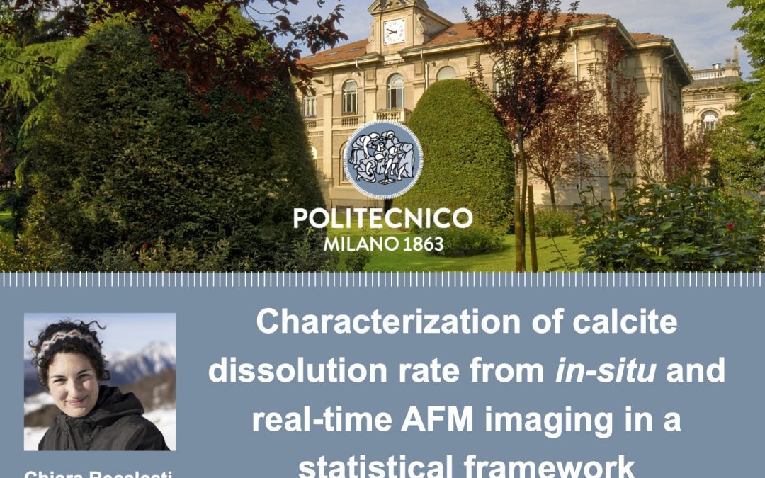 Characterization of calcite dissolution rate from in-situ and real-time AFM imaging in a statistical framework