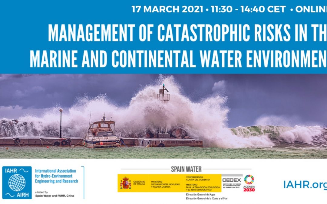 DICA’s Professors, Daniela Molinari and Francesco Ballio, as representative members of IAHR Flood Risk Management Technical Committee, will talk at the seminar organized by IAHR-SPAIN WATER WORKSHOP