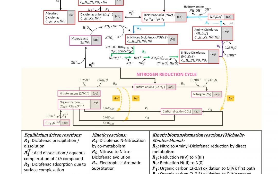 Ciclo di Webinar in Idrologia e Geochimica: Reversible biotransformation pathway of Diclofenac in groundwater
