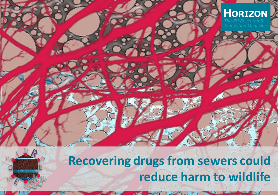 Horizon Magazine: Intervista al professore Alberto Guadagnini