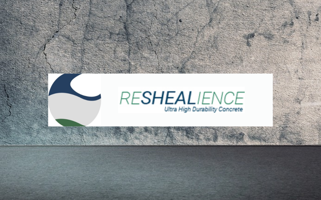 Interview on Radio24: ReSHEALience project