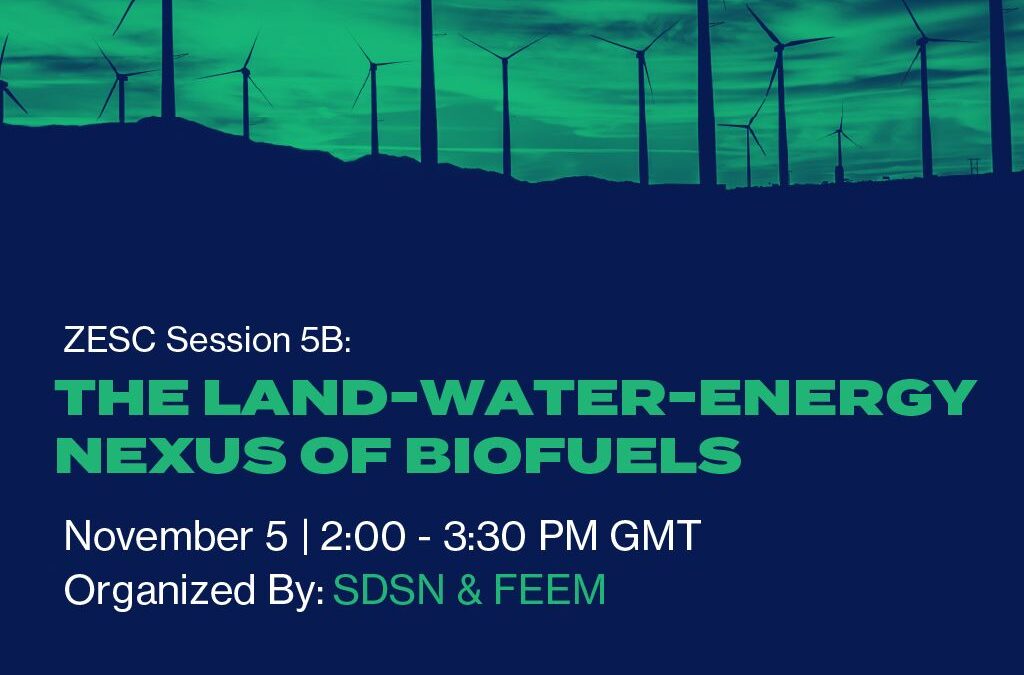 ZESC session 5B: Il nesso terra-acqua-energia dei biocarburanti