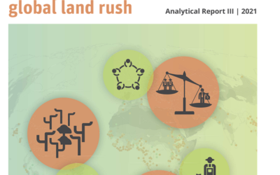 Event Global Land Programme: How can LSS use the Land Matrix Initiative database?