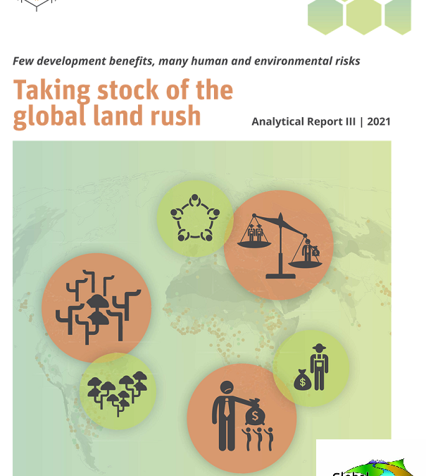 Evento Global Land Programme: How can LSS use the Land Matrix Initiative database?