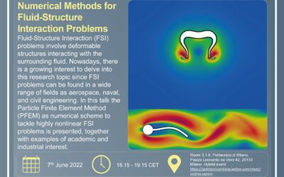 PhDTalks | Numerical Methods for Fluid Structure Interaction Problems