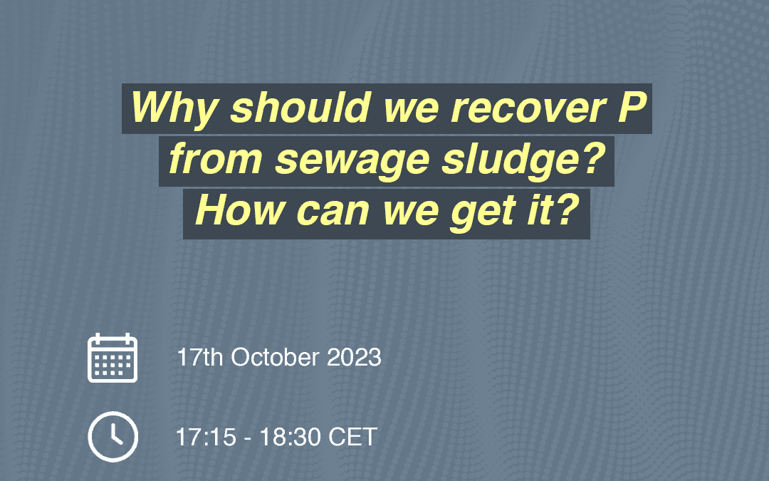 PhDTalks | Why should we recover P from sewage sludge? How can we get it?