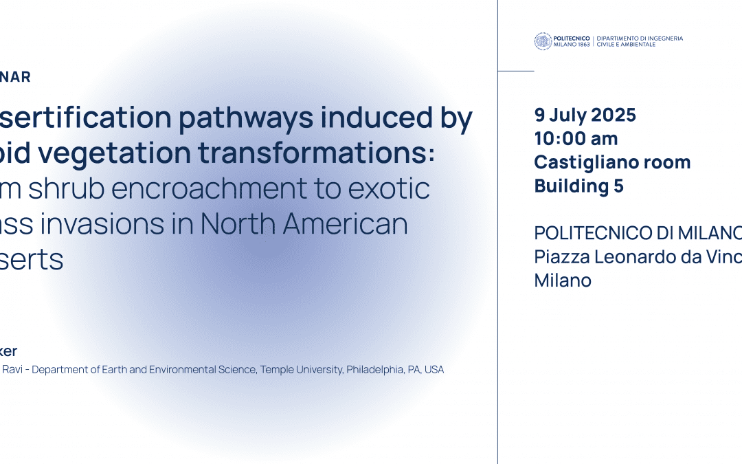 Desertification pathways induced by rapid vegetation transformations: from shrub encroachment to exotic grass invasions in North American deserts