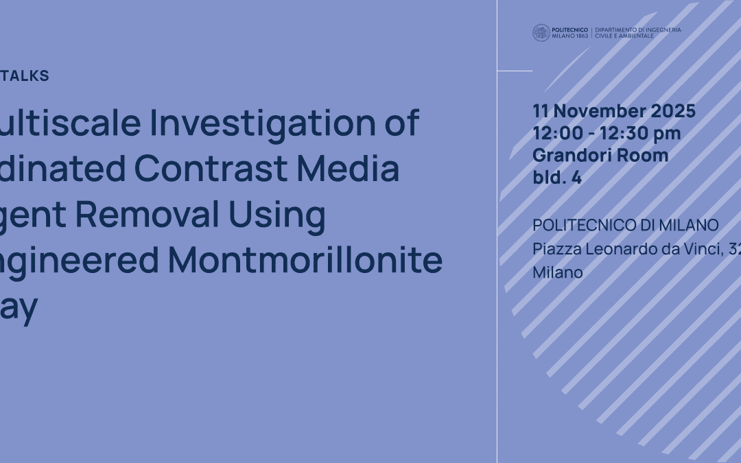 Multiscale Investigation of Iodinated Contrast Media Agent Removal Using Engineered Montmorillonite Clay